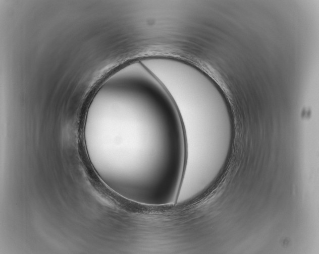X0000092210530200709140903