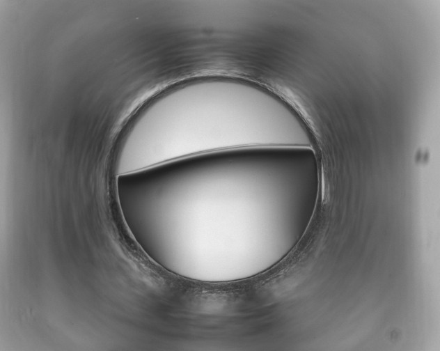 X0000092210531200709140903