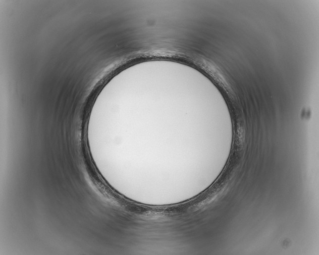X0000092210534200709140903