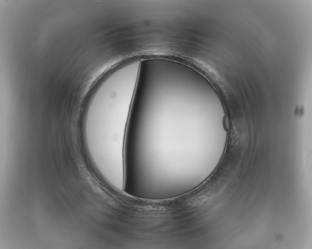 X0000092210535200709140903