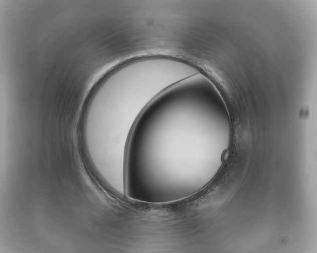 X0000092210536200709140903
