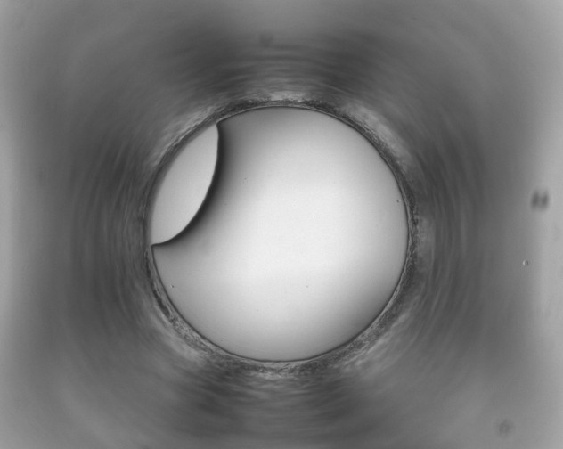 X0000092210537200709140903