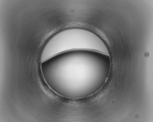 X0000092210538200709140903