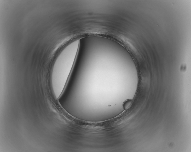 X0000092210539200709140903