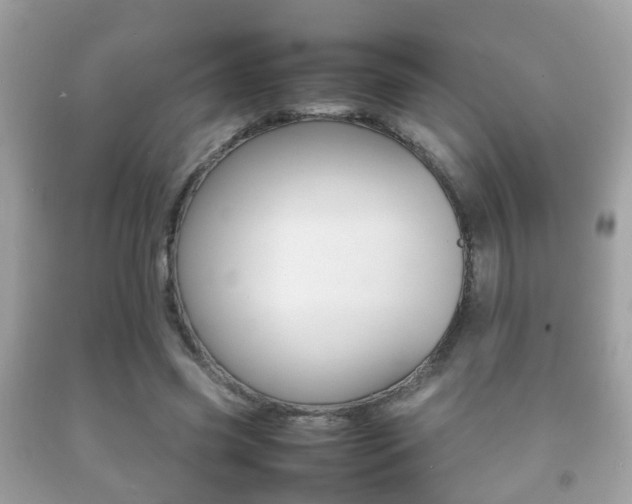 X0000092210541200709140903