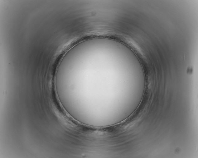 X0000092210542200709140903