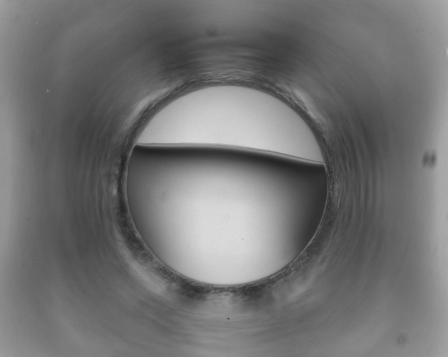 X0000092210543200709140903
