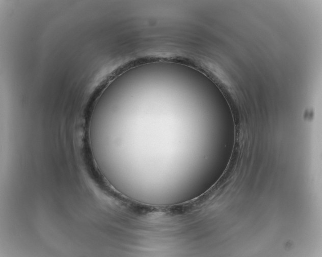 X0000092210544200709140903