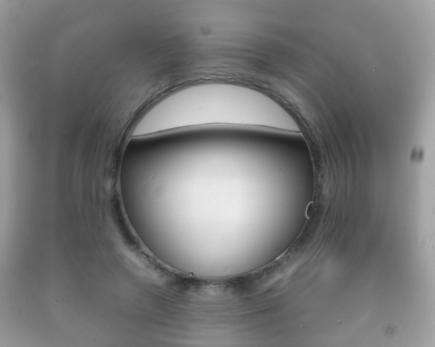 X0000092210546200709140903