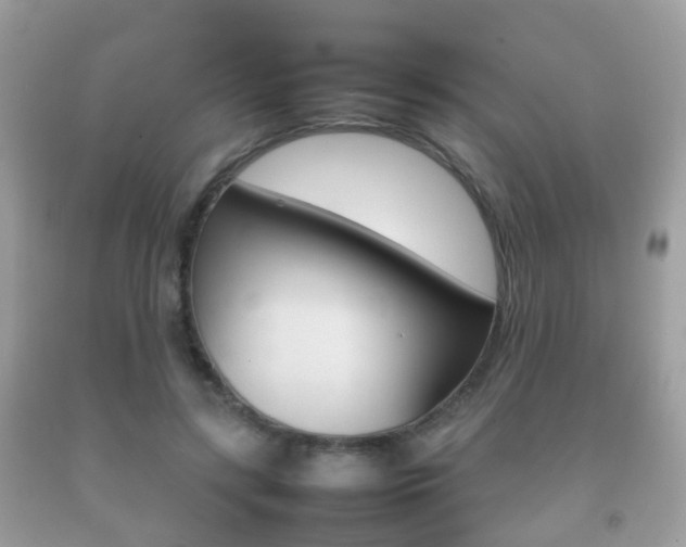 X0000092210547200709140903