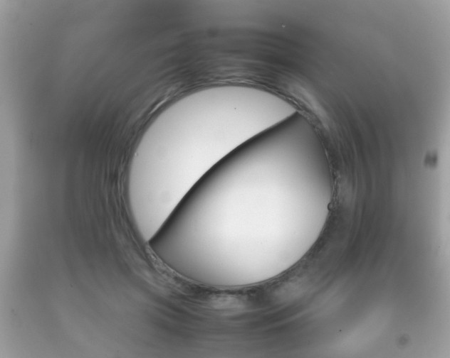 X0000092210549200709140903