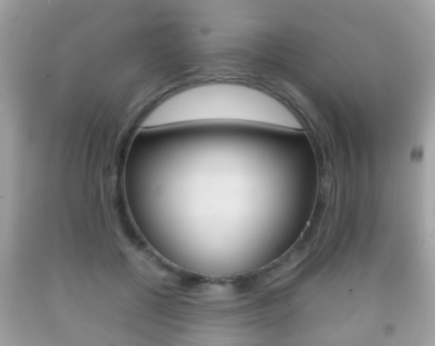 X0000092210552200709140903