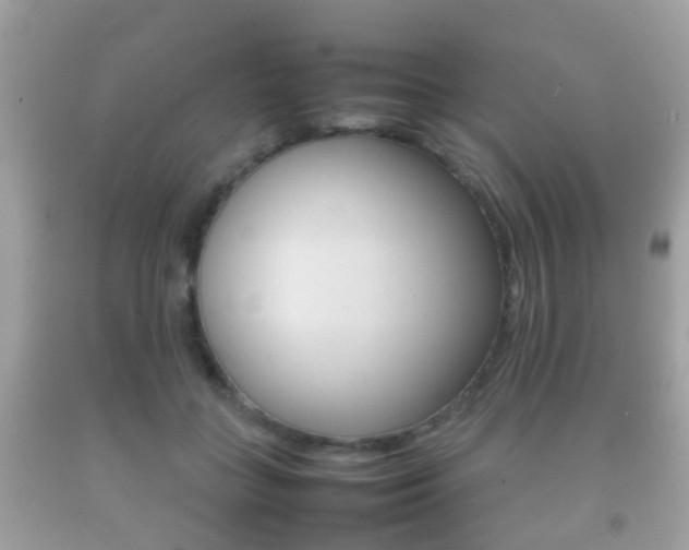 X0000092210555200709140903