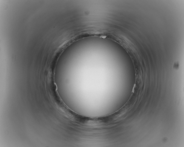 X0000092210556200709140903
