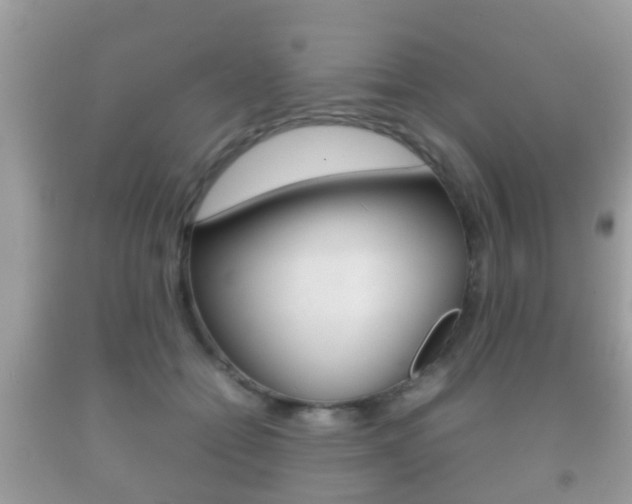 X0000092210558200709140904