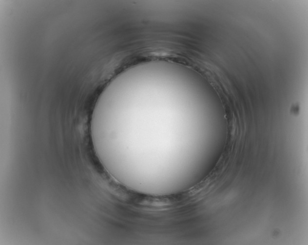 X0000092210559200709140904