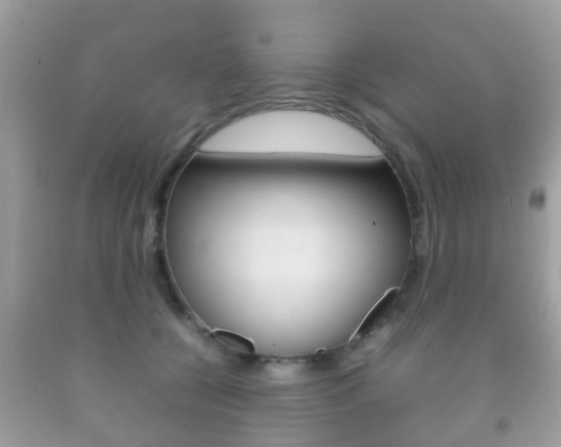 X0000092210560200709140904