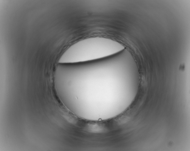 X0000092210561200709140904