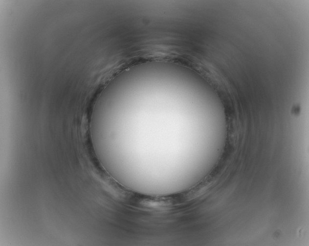 X0000092210563200709140904