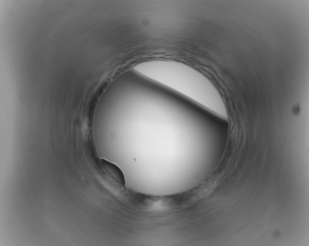 X0000092210564200709140904