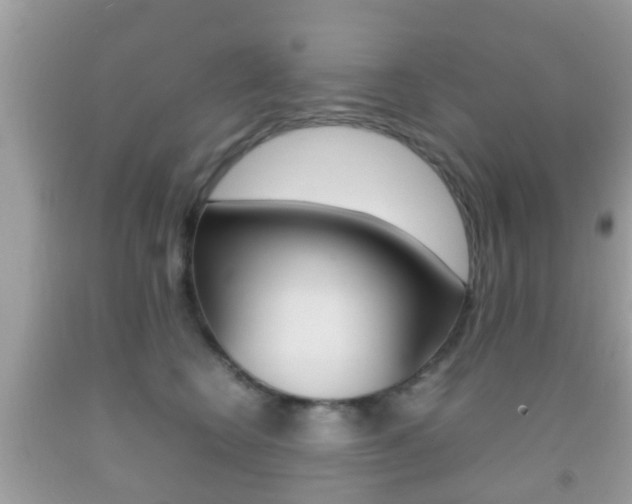 X0000092210566200709140904