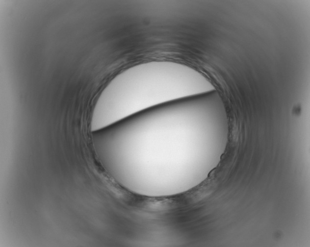 X0000092210569200709140904