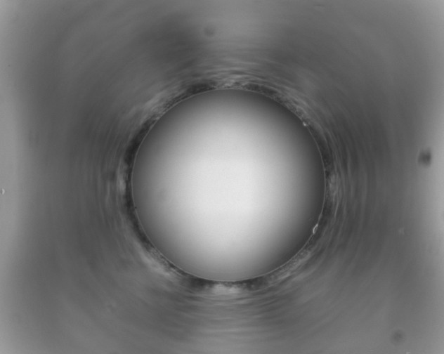 X0000092210570200709140904