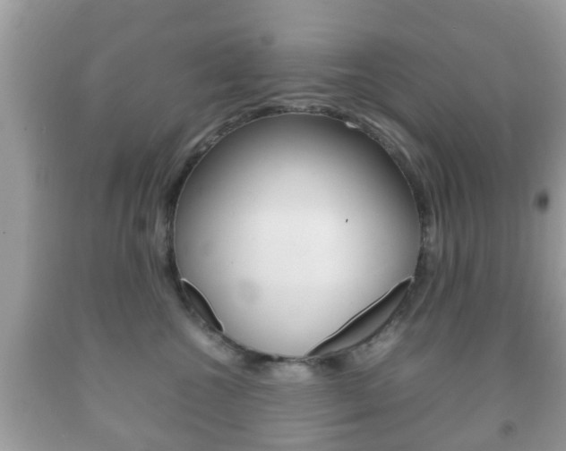 X0000092210572200709140904