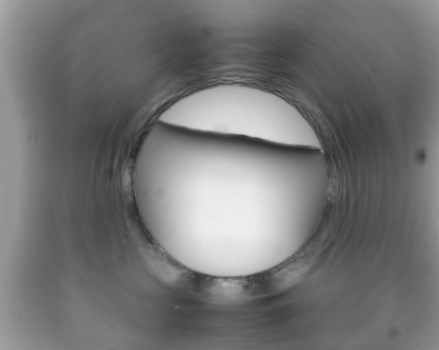 X0000092210573200709140904