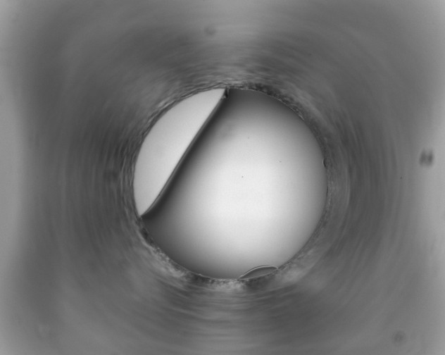 X0000092210576200709140904