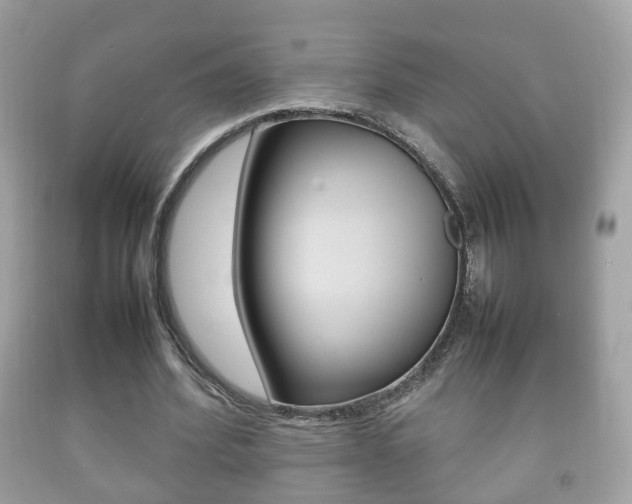 X0000092210580200709140903