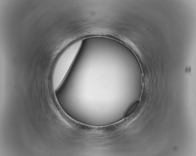 X0000092210581200709140903