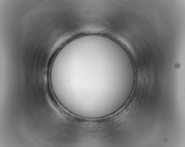 X0000092210582200709140903