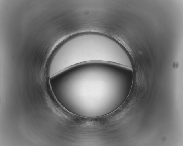 X0000092210584200709140903