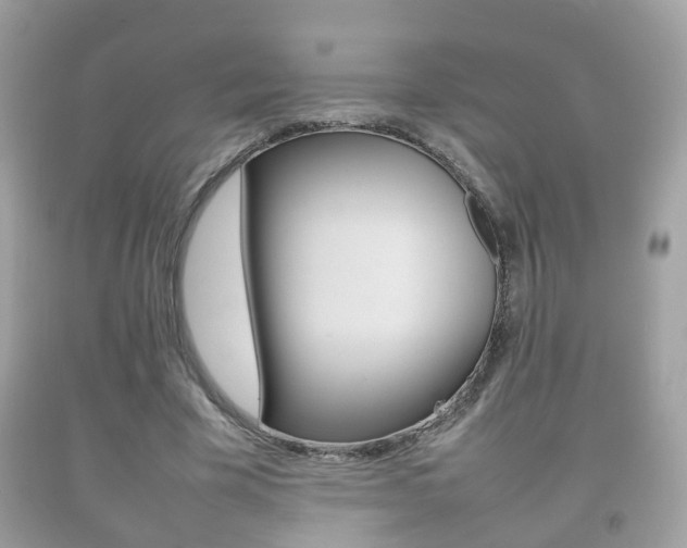 X0000092210585200709140903