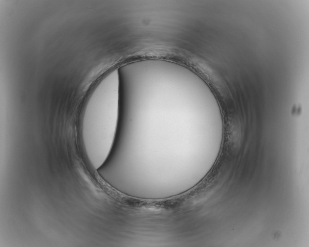 X0000092210586200709140903