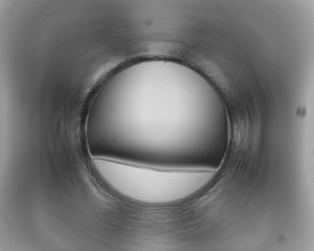 X0000092210588200709140903