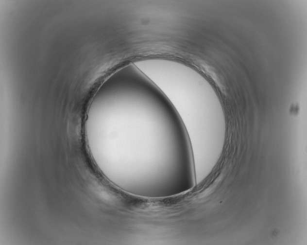 X0000092210589200709140903