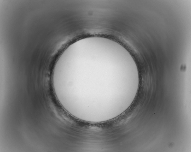X0000092210592200709140903