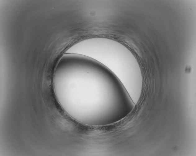 X0000092210593200709140903