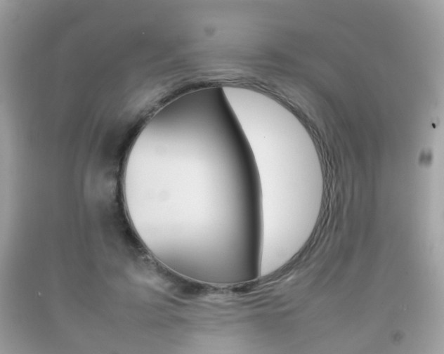 X0000092210595200709140903