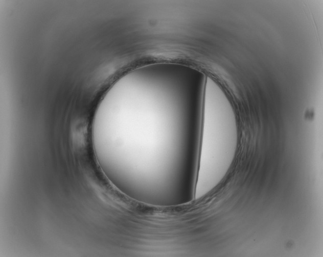 X0000092210596200709140903