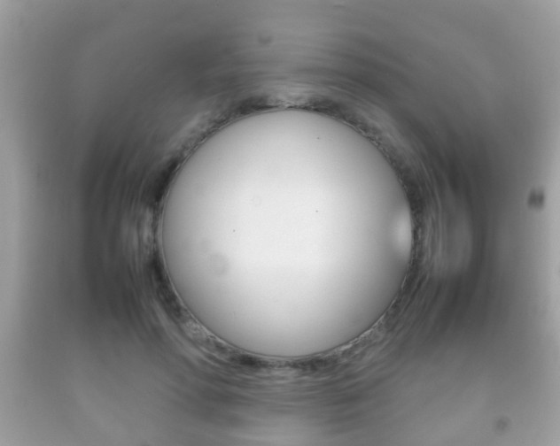 X0000092210598200709140903