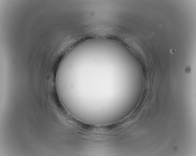 X0000092210599200709140903
