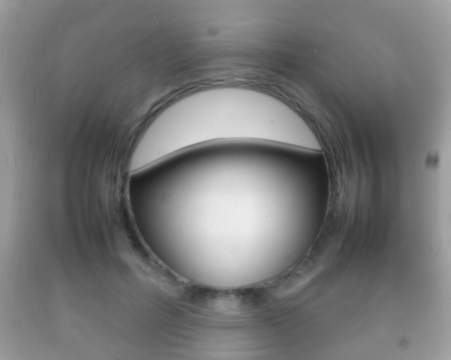 X0000092210600200709140903