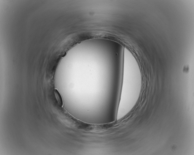 X0000092210601200709140903
