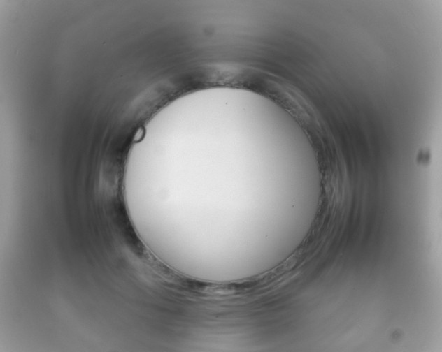 X0000092210602200709140903