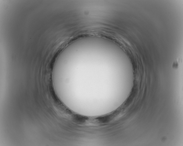 X0000092210603200709140903