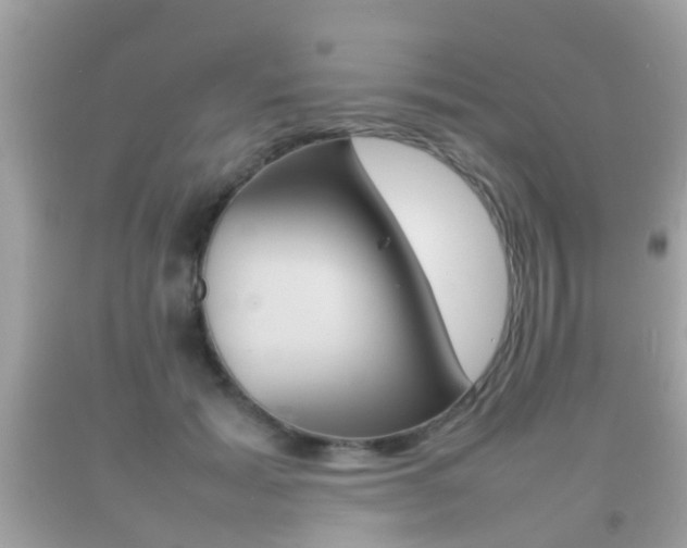 X0000092210605200709140903