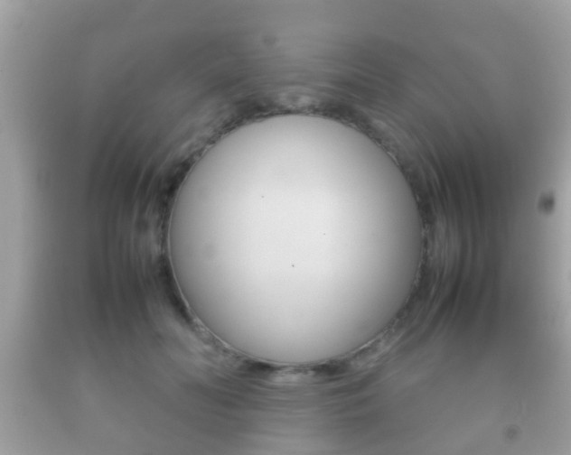 X0000092210606200709140903